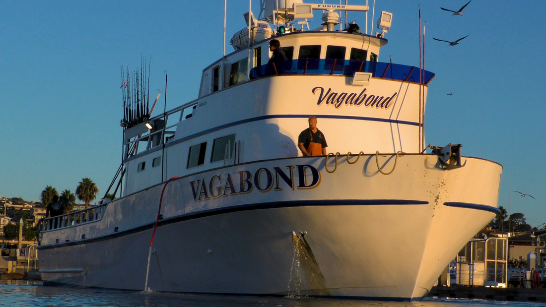 Vagabond Sportfishing